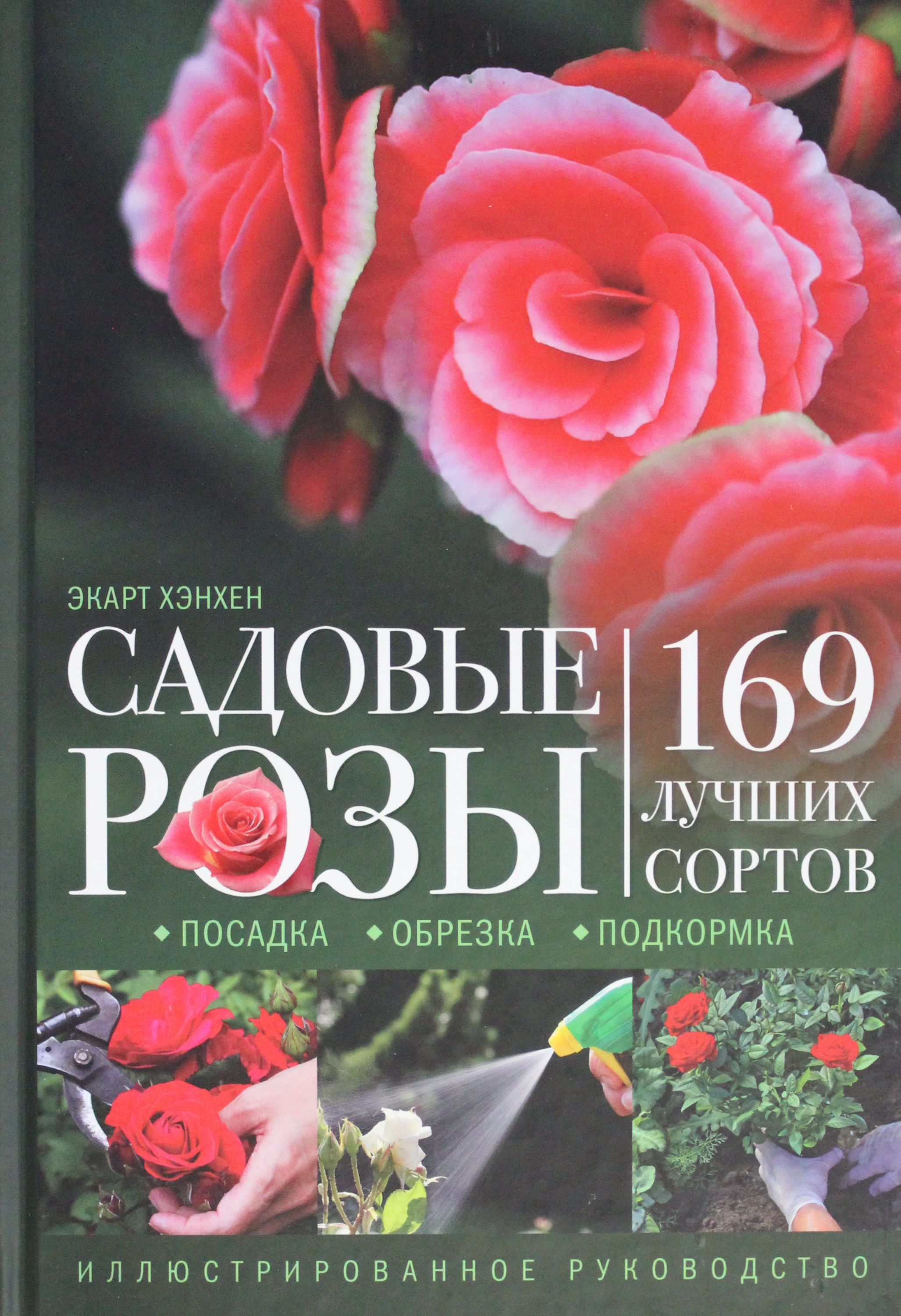 Садовые розы Посадка Обрезка Подкормка 169 лучших сортов